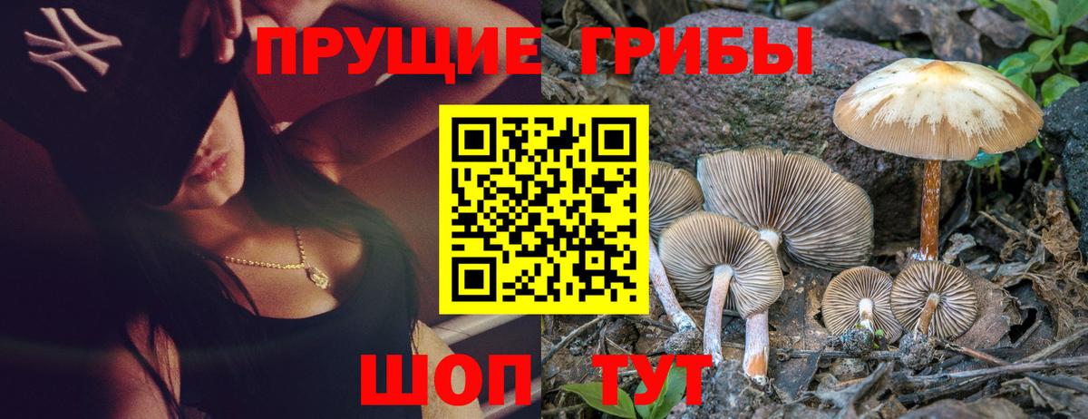 Галлюциногенные грибы Psilocybe  Вход с VPN  купить наркотики сайты  Ростов Великий 