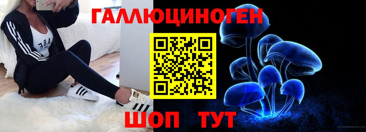 Псилоцибиновые грибы мицелий Ростов Великий
